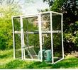 images/2003/09/30/thumb_cage1.jpg