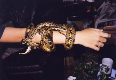 images/2003/10/24/file2468.jpg