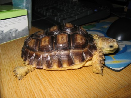 images/2003/11/05/009.jpg